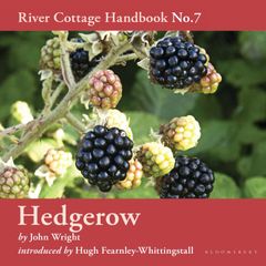 Hedgerow