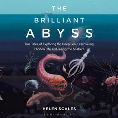 The Brilliant Abyss