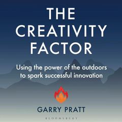 The Creativity Factor