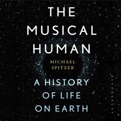 The Musical Human