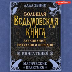 Большая ведьмовская книга заклинаний, ритуалов и обрядов. Магические практики. Книга теней