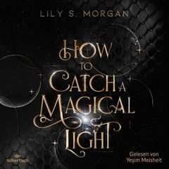 How to catch a magical Light (New York Magics 1)