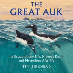 The Great Auk