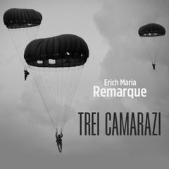 Trei camarazi