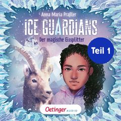 Ice Guardians 2 Teil 1. Der magische Eissplitter