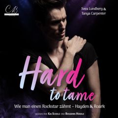 Hard to tame – Wie man einen Rockstar zähmt