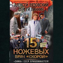 15 ножевых. Врач скорой