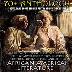 70+  Anthology. African American literature. Novels and short stories. Poetry. Non-fiction. Essays