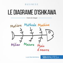 Le diagramme d'Ishikawa