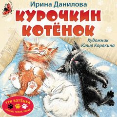 Курочкин котенок