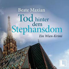 Tod hinter dem Stephansdom: Ein Wien-Krimi