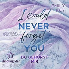 I Could Never Forget You: Du gehörst mir