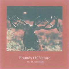 Sounds of Nature - Die Hirschbrunft