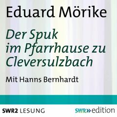 Der Spuk im Pfarrhause zu Cleversulzbach