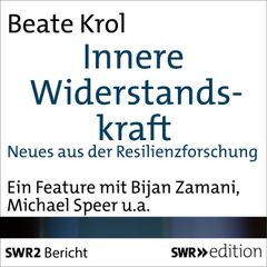 Innere Widerstandskraft