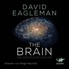 The Brain