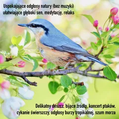 Uspokajające odgłosy natury (bez muzyki) ułatwiające głęboki sen, medytację, relaks