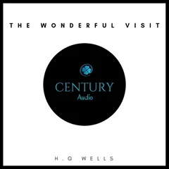 The Wonderful Visit