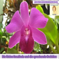 Rosalinda und die sprechende Orchidee