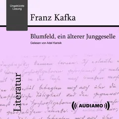 Blumfeld, ein älterer Junggeselle