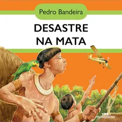 Desastre na mata