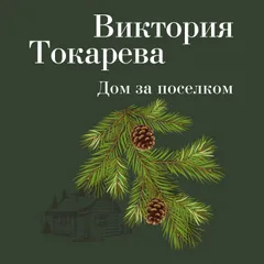Дом за поселком