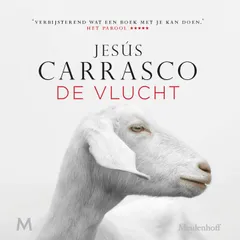 De vlucht