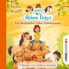 Die Schule der kleinen Ponys, Teil 1: Ein Heuhaufen voller Geheimnisse