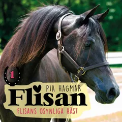 Flisans osynliga häst