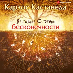 Активная сторона бесконечности
