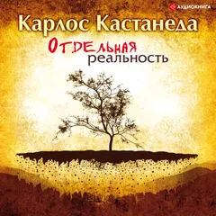 Отдельная реальность
