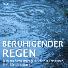 Beruhigender Regen – Rauschen, Sanfte Regengeräusche zum Entspannen, Einschlafen, Meditieren