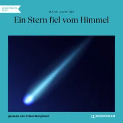 Ein Stern fiel vom Himmel