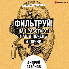 Фильтруй! Как работают наши печень и почки