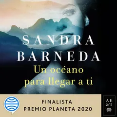 Un océano para llegar a ti