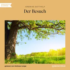 Der Besuch