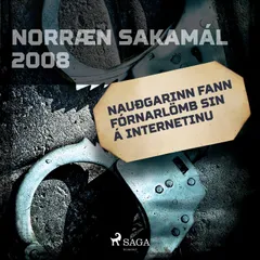 Nauðgarinn fann fórnarlömb sin á internetinu
