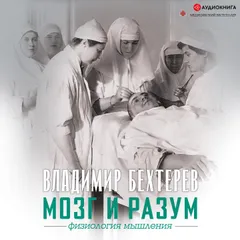 Мозг и разум: физиология мышления