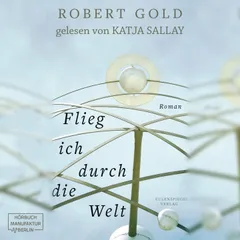 Flieg ich durch die Welt