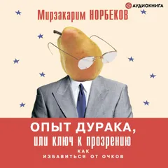 Опыт дурака, или Ключ к прозрению