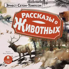 Рассказы о животных
