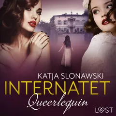 Queerlequin: Internatet