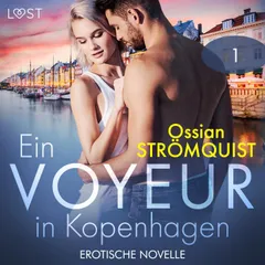 Ein Voyeur in Kopenhagen 1 - Erotische Novelle