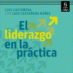 El liderazgo en la práctica