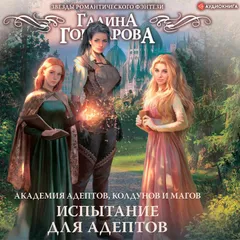 Академия адептов, колдунов и магов. Испытание для адептов