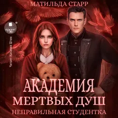 Академия мёртвых душ. Неправильная студентка