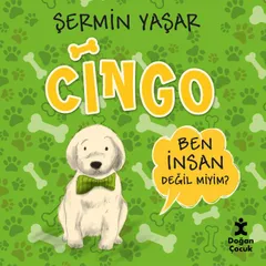 Cingo