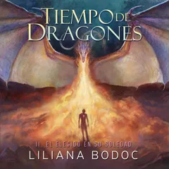 Tiempo de Dragones 2: El Elegido en su soledad