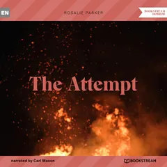 The Attempt