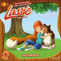 Folgen 22-26: Der verletzte Kondor